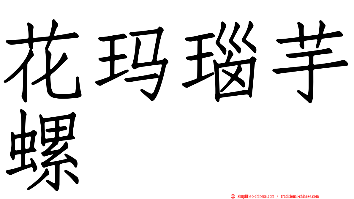 花玛瑙芋螺