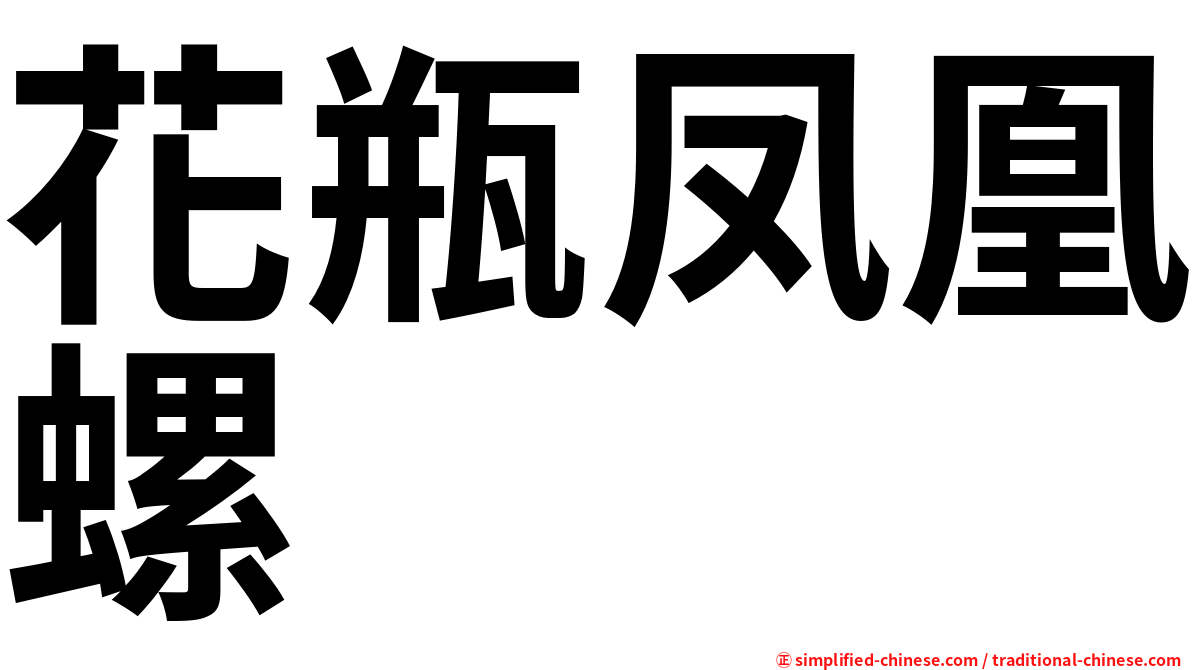 花瓶凤凰螺