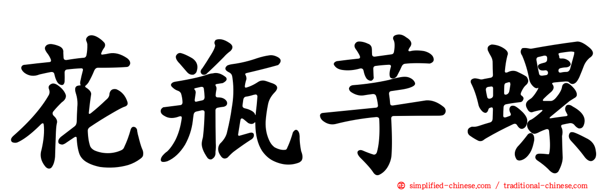 花瓶芋螺
