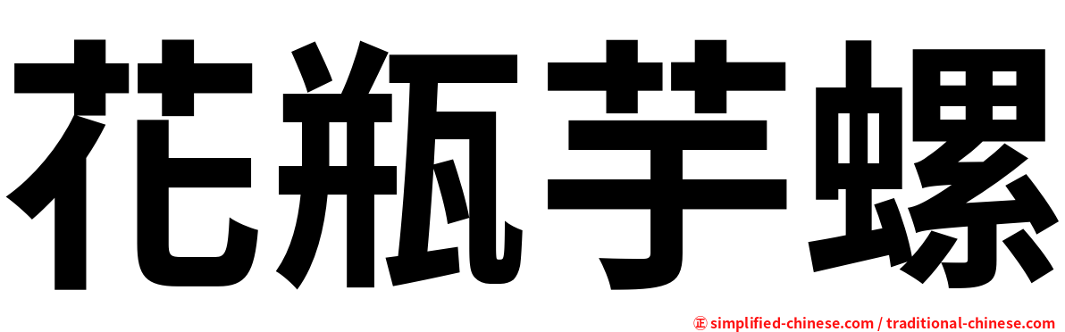 花瓶芋螺