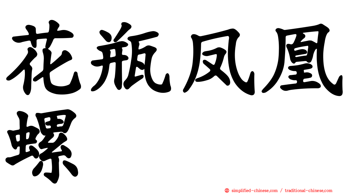 花瓶凤凰螺