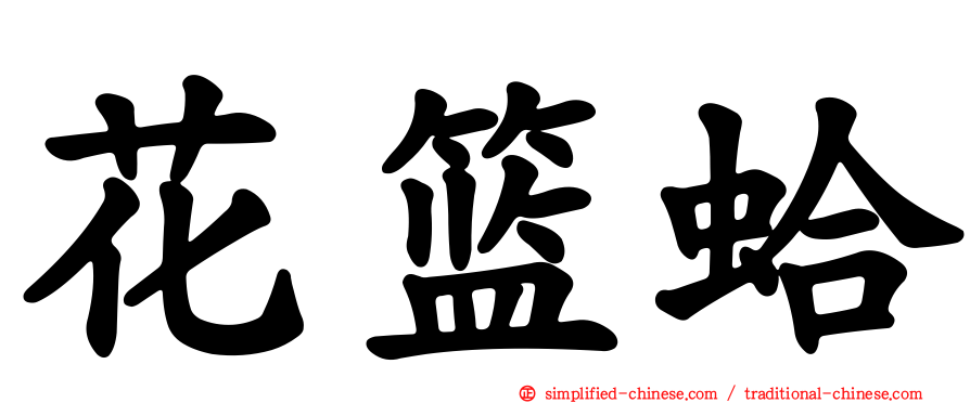 花篮蛤