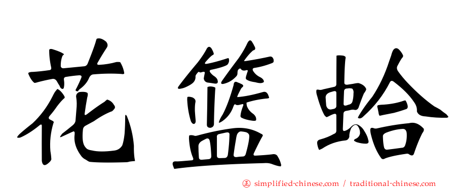 花篮蛤