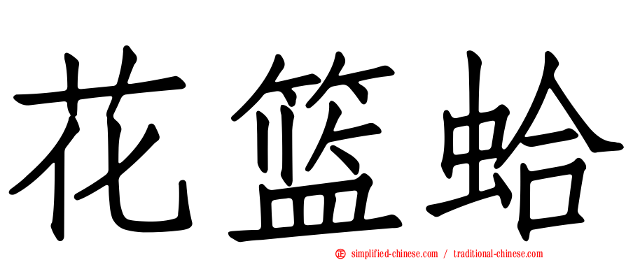 花篮蛤