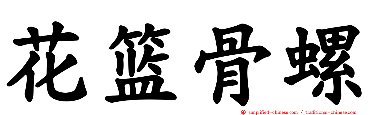 花篮骨螺