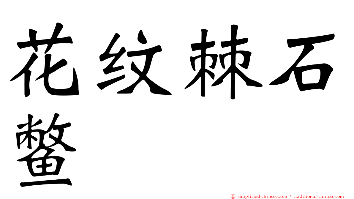 花纹棘石鳖