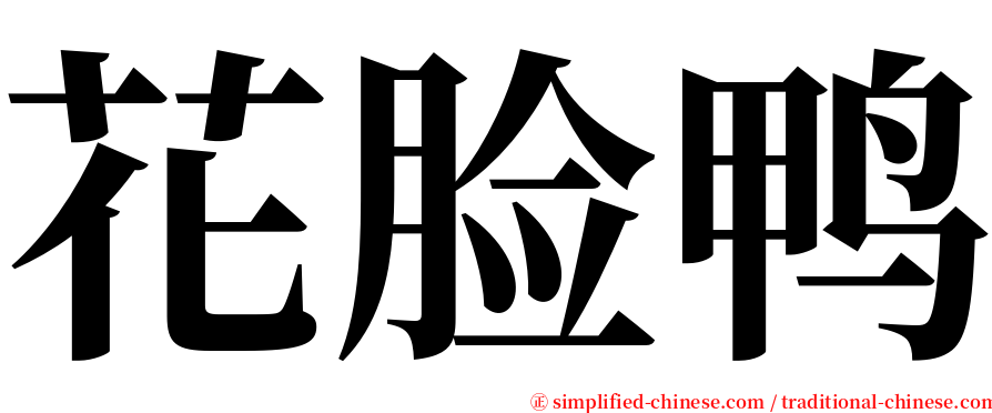 花脸鸭 serif font
