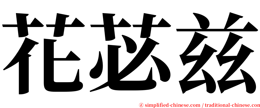 花苾兹 serif font