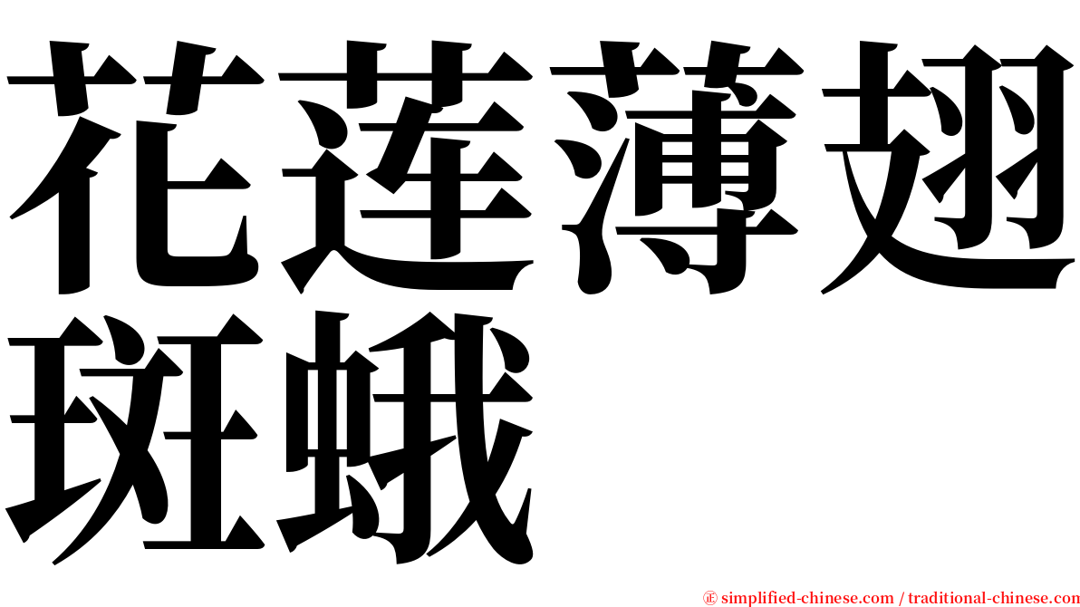 花莲薄翅斑蛾 serif font