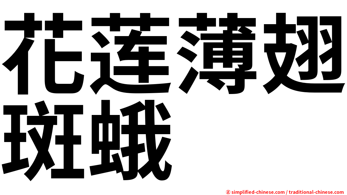 花莲薄翅斑蛾