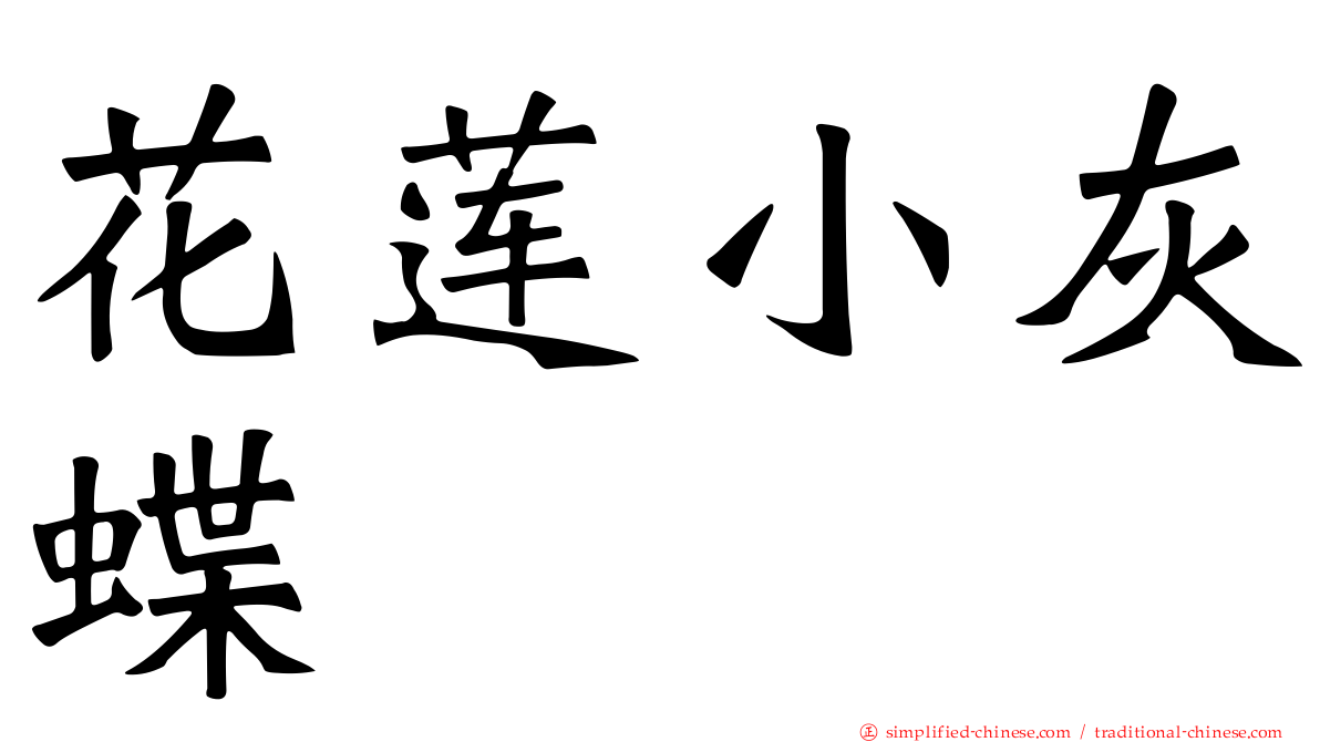 花莲小灰蝶