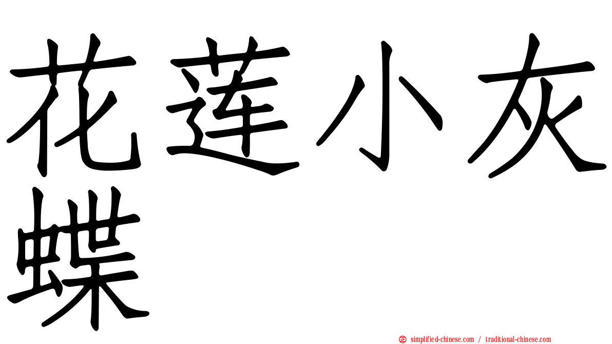 花莲小灰蝶