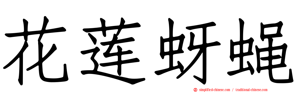 花莲蚜蝇