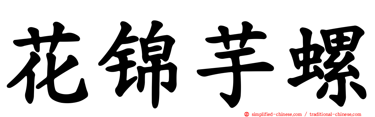 花锦芋螺