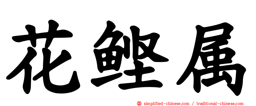 花鲣属