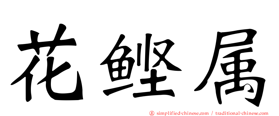 花鲣属