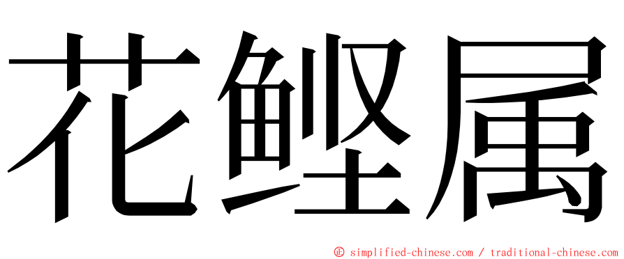 花鲣属 ming font