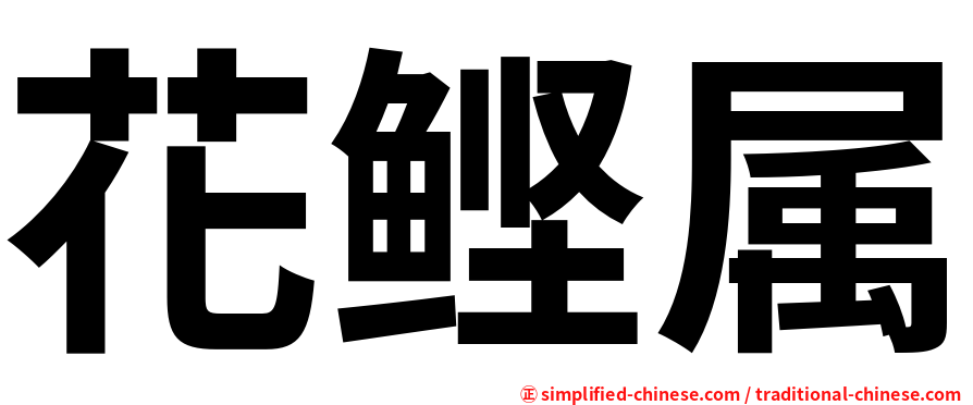 花鲣属