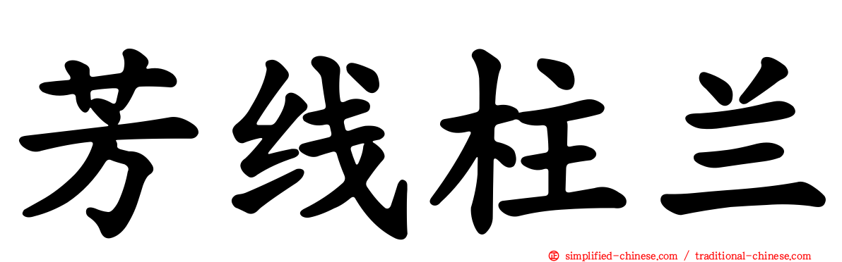 芳线柱兰
