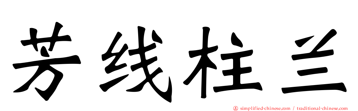 芳线柱兰