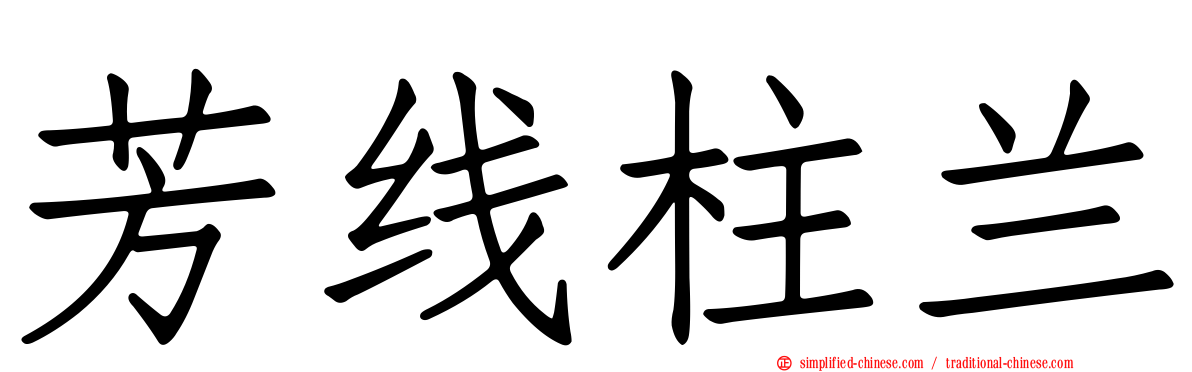 芳线柱兰