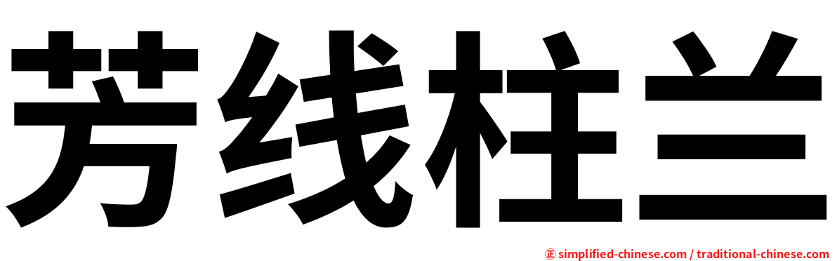 芳线柱兰