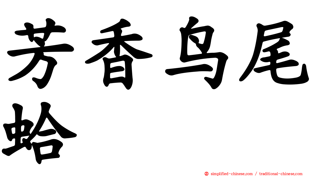 芳香鸟尾蛤