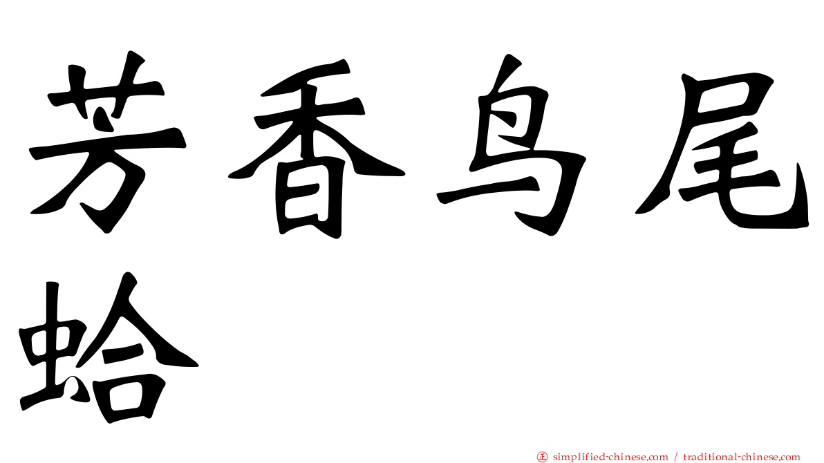 芳香鸟尾蛤
