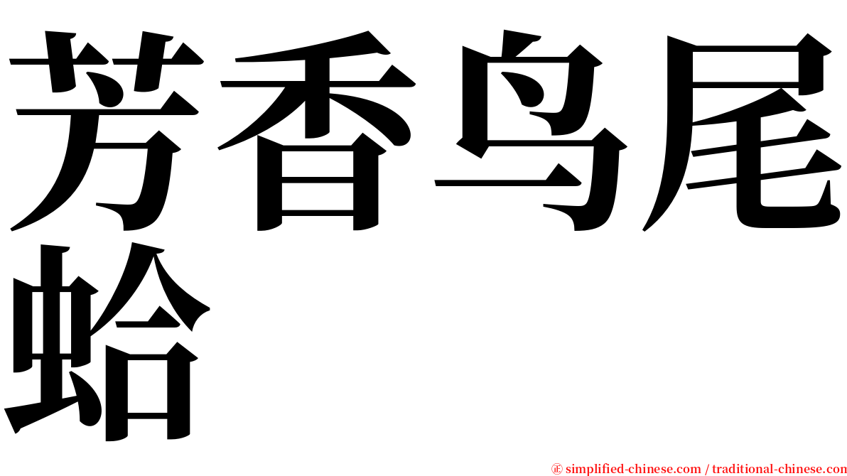 芳香鸟尾蛤 serif font