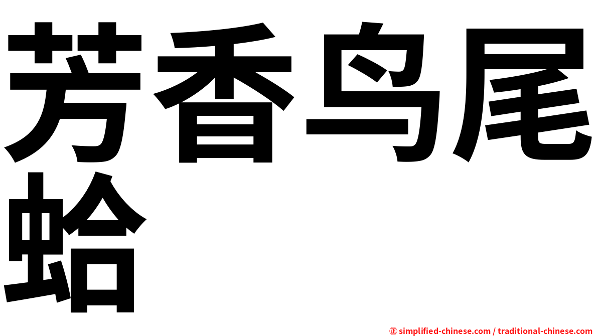 芳香鸟尾蛤