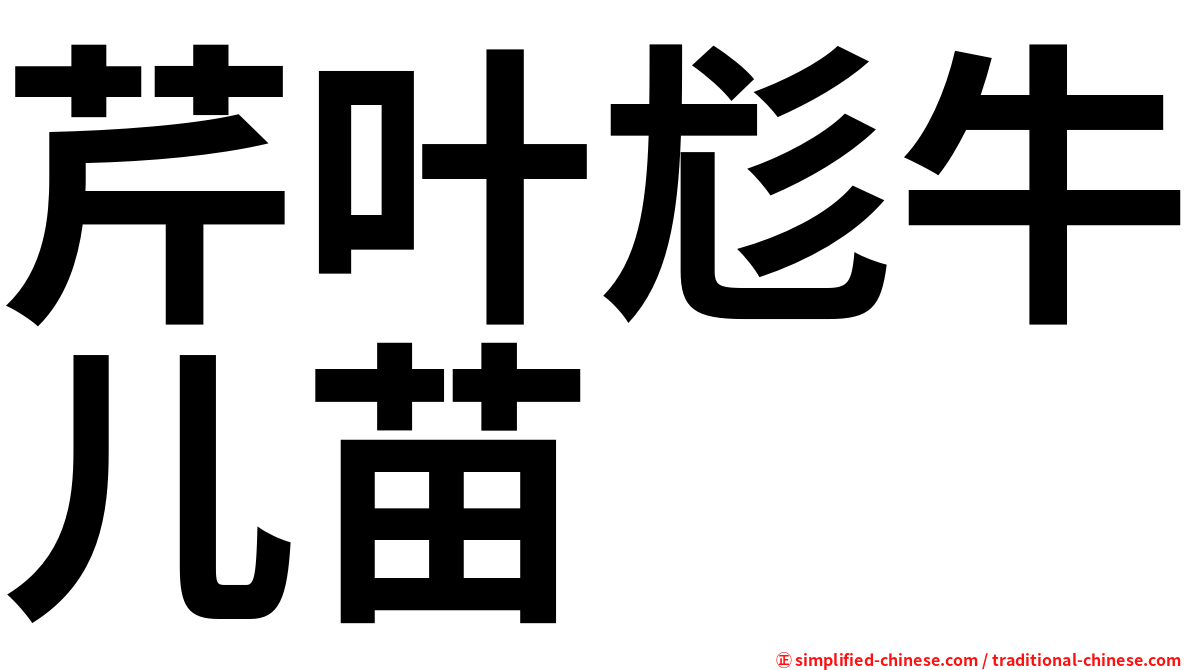 芹叶尨牛儿苗