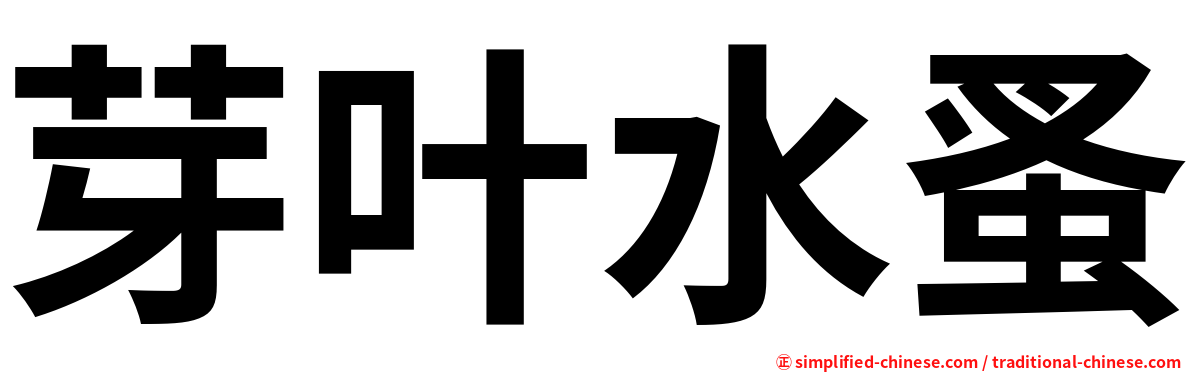 芽叶水蚤