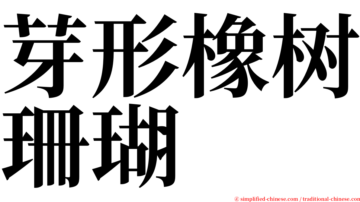 芽形橡树珊瑚 serif font