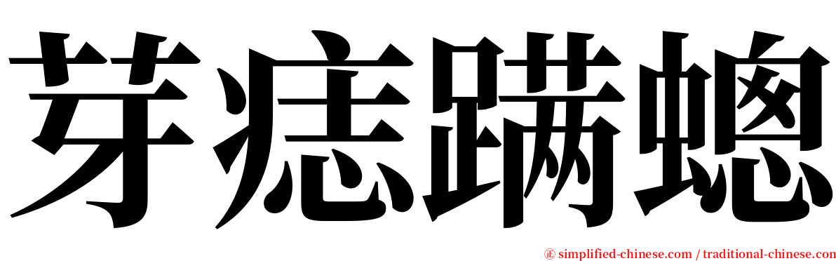 芽痣蹒蟌 serif font