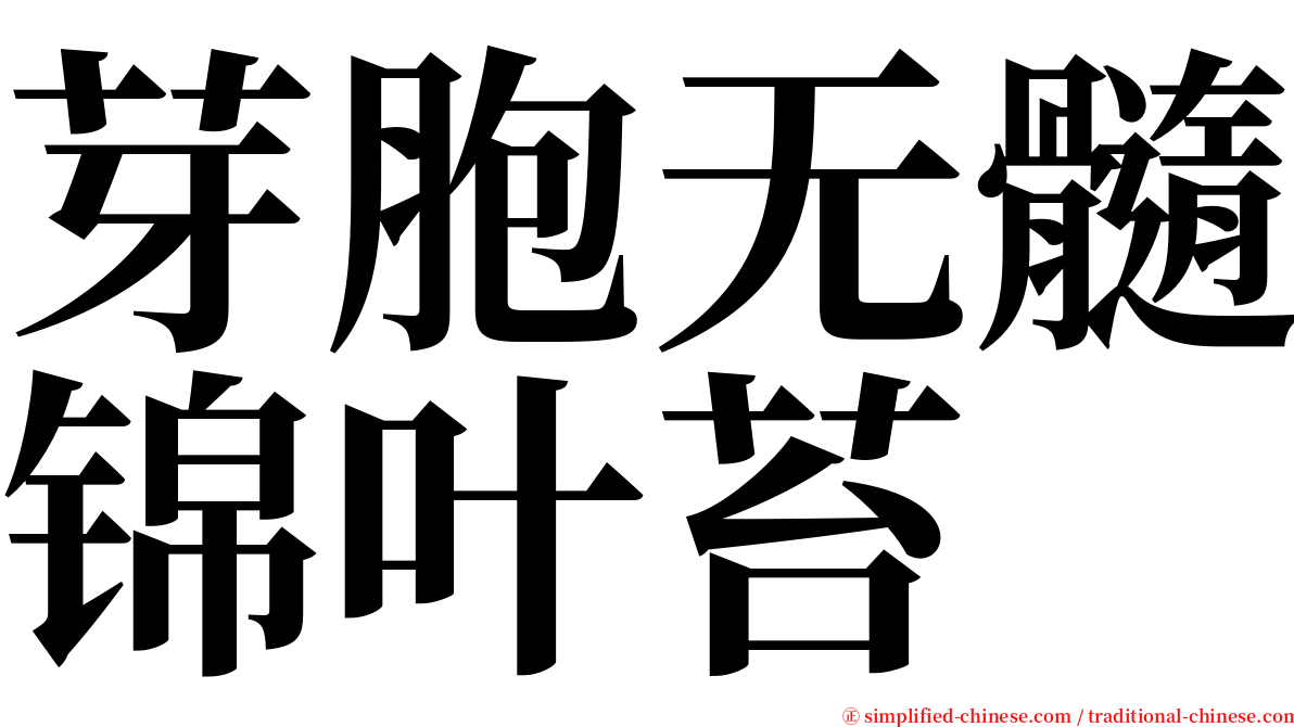 芽胞无髓锦叶苔 serif font