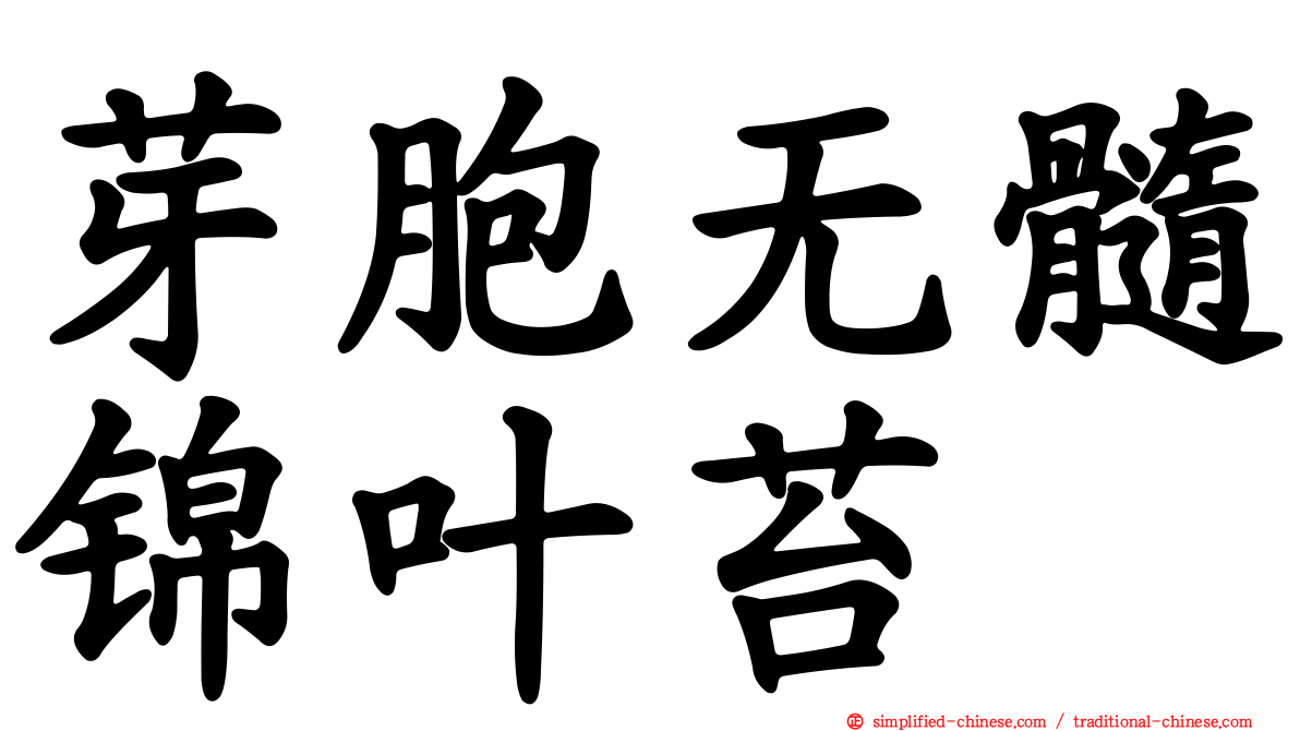 芽胞无髓锦叶苔