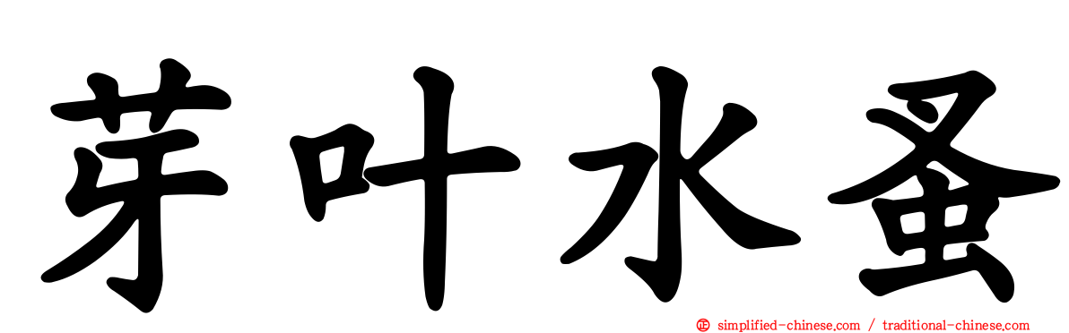 芽叶水蚤