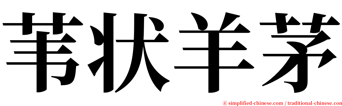 苇状羊茅 serif font