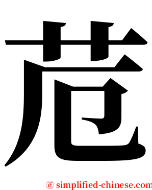 苊 serif font