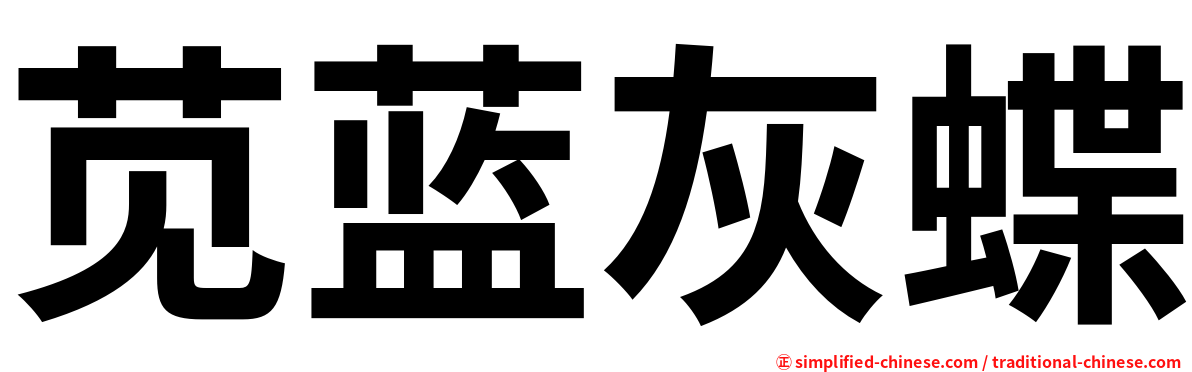 苋蓝灰蝶