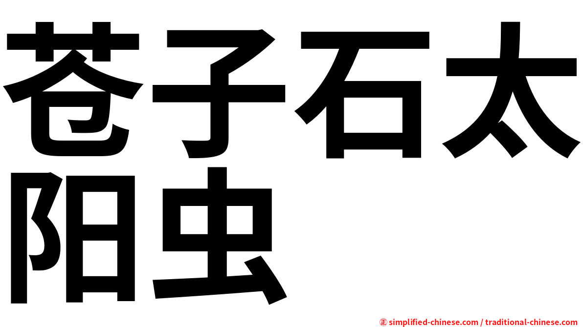 苍子石太阳虫