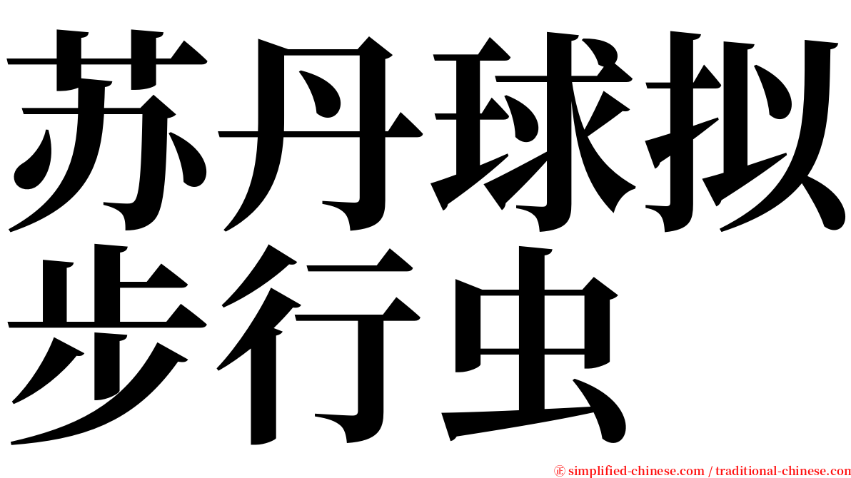 苏丹球拟步行虫 serif font