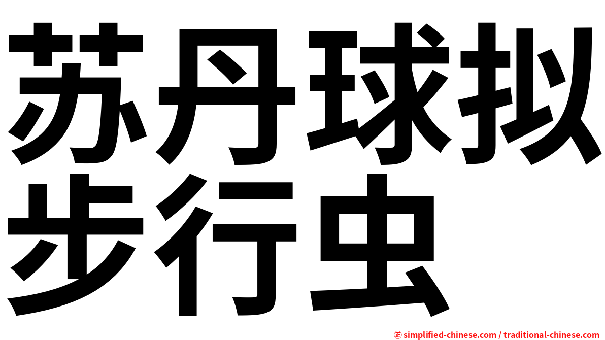 苏丹球拟步行虫