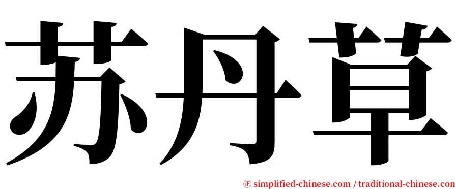 苏丹草 serif font