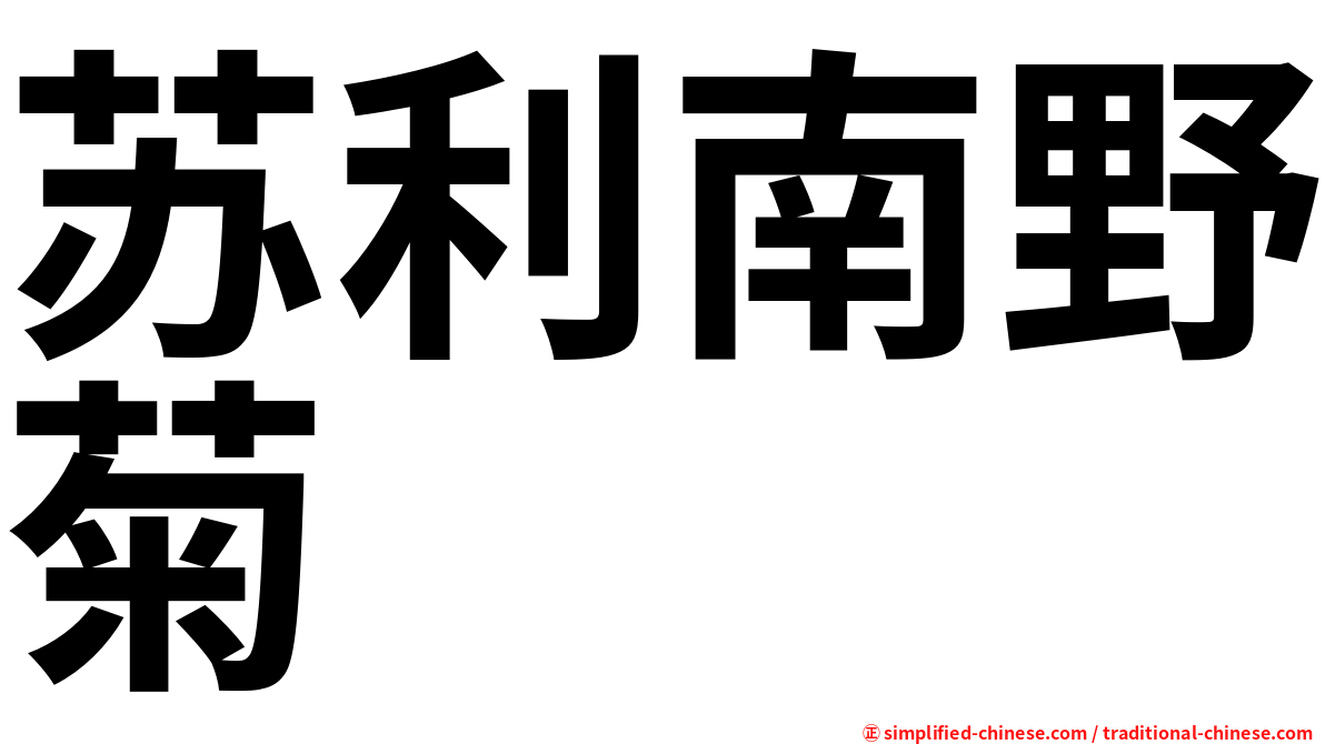 苏利南野菊