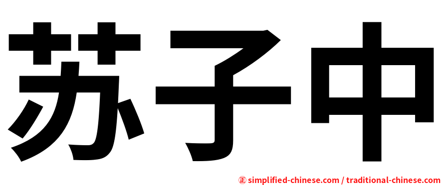 苏子中