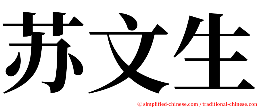 苏文生 serif font