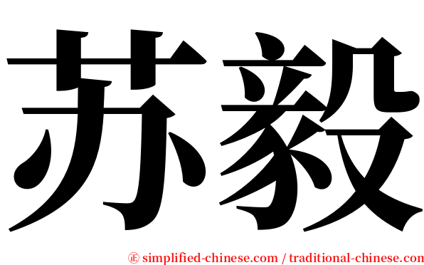 苏毅 serif font