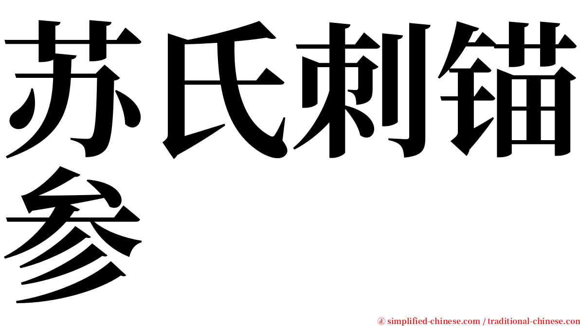 苏氏刺锚参 serif font