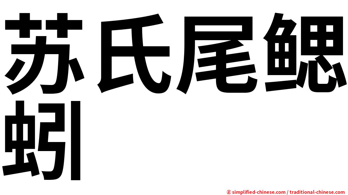苏氏尾鳃蚓
